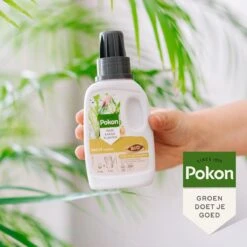 Pokon Bio Palm Voeding - 250ml - Plantenvoeding (bio) - 7ml Per 1L Water 13 Pokon Bio Palm Voeding - 250ml - Plantenvoeding (bio) - 7ml Per 1L Water -Tuinverzorgings Winkel 1200x1200 32
