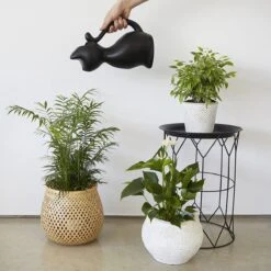 Balvi Meow! Kat Gieter - Zwart 10 Balvi Meow! Kat Gieter - Zwart -Tuinverzorgings Winkel 1200x1200 331