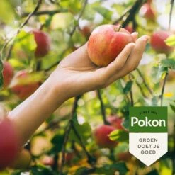 Pokon Bio Fruitbomen Mest - 1kg - Meststof (biologisch) - 120 Dagen Voeding -Tuinverzorgings Winkel 1200x1200 34