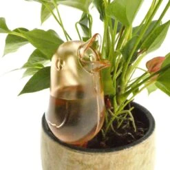 JS Drippy - Waterdruppelaars Set Van 2 Stuks - Druppelaar Vogel - Druppelsysteem Planten - Watergeefsysteem Kamerplanten - Waterbol - Roze 9 JS Drippy - Waterdruppelaars Set Van 2 Stuks - Druppelaar Vogel - Druppelsysteem Planten - Watergeefsysteem Kamerplanten - Waterbol - Roze -Tuinverzorgings Winkel 1200x1200 373