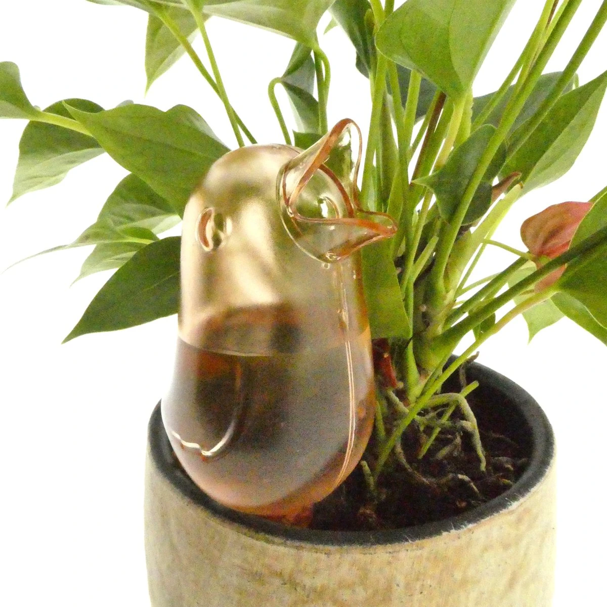 JS Drippy - Waterdruppelaars Set Van 2 Stuks - Druppelaar Vogel - Druppelsysteem Planten - Watergeefsysteem Kamerplanten - Waterbol - Roze 5 JS Drippy - Waterdruppelaars Set Van 2 Stuks - Druppelaar Vogel - Druppelsysteem Planten - Watergeefsysteem Kamerplanten - Waterbol - Roze - Afbeelding 3