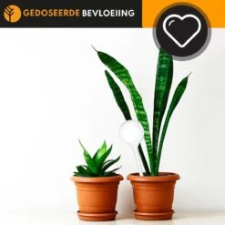 Waterdruppelaar Set Van 6 Stuks Voor Planten Transparant – 27 CM – Automatisch Watergeefsysteem Voor Kamerplanten – Planten Watergever Met Druppelsysteem – Waterbol 10 Waterdruppelaar Set Van 6 Stuks Voor Planten Transparant – 27 CM – Automatisch Watergeefsysteem Voor Kamerplanten – Planten Watergever Met Druppelsysteem – Waterbol -Tuinverzorgings Winkel 1200x1200 386