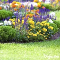 Koemestkorrels 3in1 (20Kg Voor 200m2) Allround Organische Meststof - Direct Opneembare Voeding - Langdurige Werking > 120 Dagen - Geurloos - Verbeterd Bodem - Lavameel Toevoeging - Versterkt Gras En Planten - Organifer 18 Koemestkorrels 3in1 (20Kg Voor 200m2) Allround Organische Meststof - Direct Opneembare Voeding - Langdurige Werking > 120 Dagen - Geurloos - Verbeterd Bodem - Lavameel Toevoeging - Versterkt Gras En Planten - Organifer -Tuinverzorgings Winkel 1200x1200 4