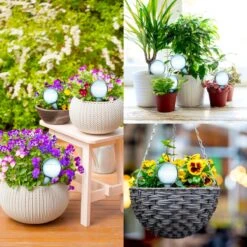 Druppelsysteem 12 Stuks Waterdruppelaar Voor Planten - Waterafgiftesysteem Voor 2 Weken - Beregening Voor Kamerplanten -Tuinverzorgings Winkel 1200x1200 434