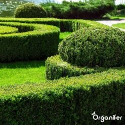 Lavameel Uit Eifel Oergesteente (20Kg Voor 200m2) Organifer -Tuinverzorgings Winkel 1200x1200 48