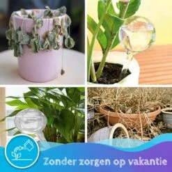 Summer Spark Waterdruppelaar Voor Planten 6 Stuks Transparant – 27 CM X 8 CM – 250 ML – Automatisch Watergeefsysteem Voor Kamerplanten – Planten Watergever Met Druppelsysteem – Waterbol -Tuinverzorgings Winkel 1200x1200 512