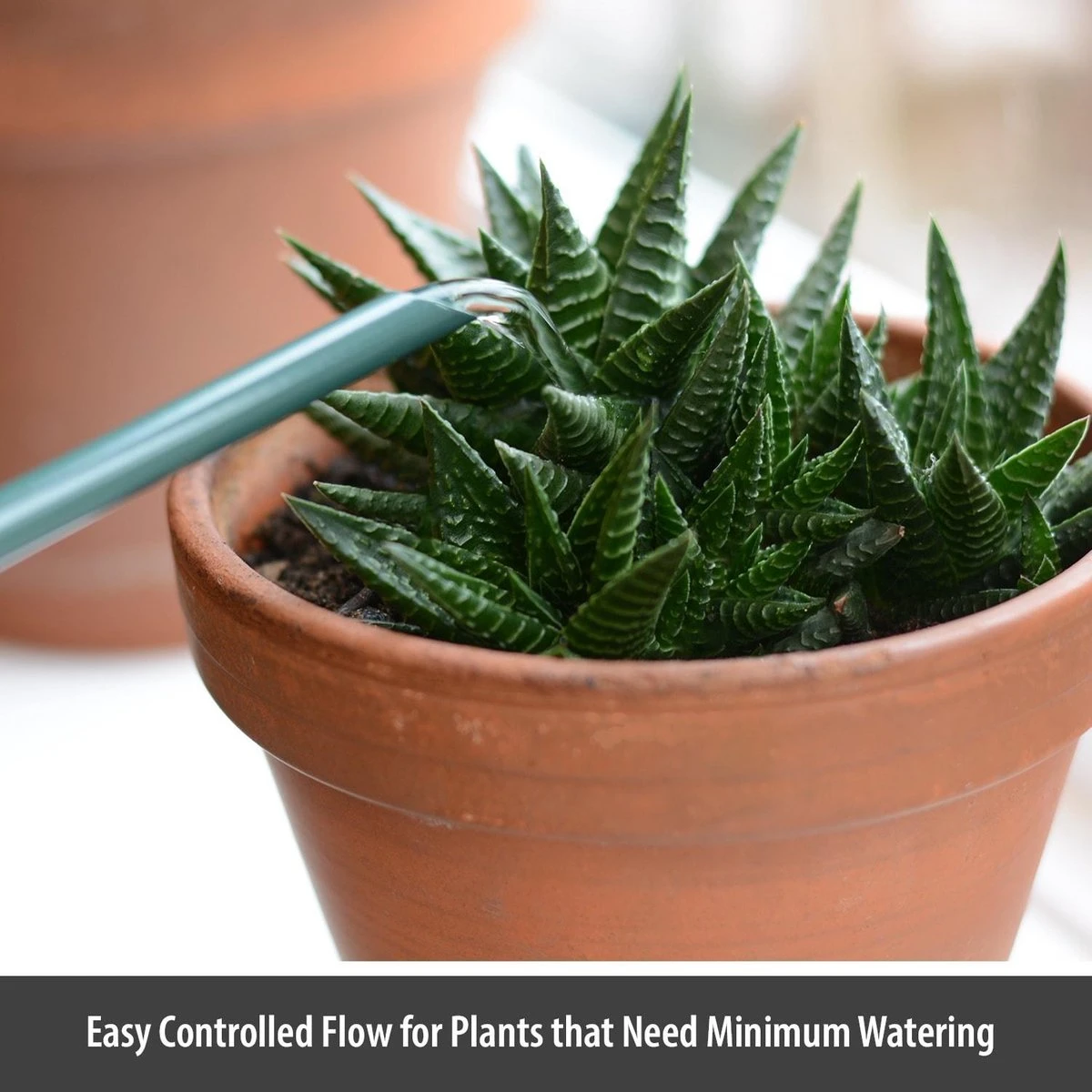 CKB LTD - Gieters - Gieter - Retro - Gietertje - Kleine Gieter Voor Binnen En Buiten - 1 Liter - Groen Plantengieter Tuingieter Bloemengieter Mini Klein Metaal Binnenplantjes Gietertjes Tuingieters Vintage Kamerplanten Buitengieter Binnenshuis 4 CKB LTD - Gieters - Gieter - Retro - Gietertje - Kleine Gieter Voor Binnen En Buiten - 1 Liter - Groen Plantengieter Tuingieter Bloemengieter Mini Klein Metaal Binnenplantjes Gietertjes Tuingieters Vintage Kamerplanten Buitengieter Binnenshuis - Afbeelding 2