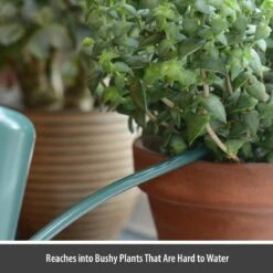 CKB LTD - Gieters - Gieter - Retro - Gietertje - Kleine Gieter Voor Binnen En Buiten - 1 Liter - Groen Plantengieter Tuingieter Bloemengieter Mini Klein Metaal Binnenplantjes Gietertjes Tuingieters Vintage Kamerplanten Buitengieter Binnenshuis 13 CKB LTD - Gieters - Gieter - Retro - Gietertje - Kleine Gieter Voor Binnen En Buiten - 1 Liter - Groen Plantengieter Tuingieter Bloemengieter Mini Klein Metaal Binnenplantjes Gietertjes Tuingieters Vintage Kamerplanten Buitengieter Binnenshuis -Tuinverzorgings Winkel 1200x1200 546