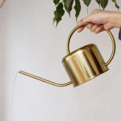 Kikkerland Vintage Gieter - Plantengieter Voor Binnen - Goud - 1,2L - Retro - Metaal -Tuinverzorgings Winkel 1200x1200 575