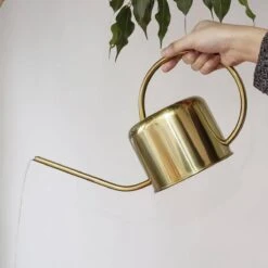 Kikkerland Vintage Gieter - Plantengieter Voor Binnen - Goud - 1,2L - Retro - Metaal -Tuinverzorgings Winkel 1200x1200 577