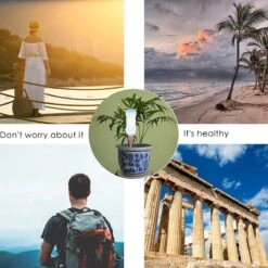 BOTC Waterdruppelaar Set Van 6 Stuks Voor Planten - Watergeefsysteem -Tuinverzorgings Winkel 1200x1200 607