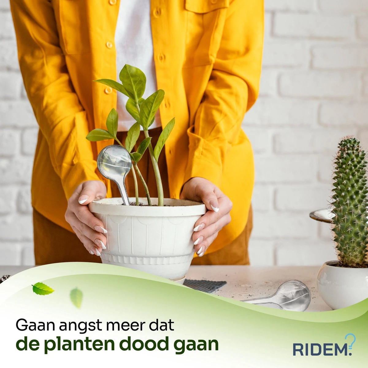 Waterdruppelaar Voor Planten - Irrigatiesysteem- Waterbol - Druppelsysteem - Watergeefsysteem Voor Kamerplanten - Plantenwatergever -6 Stuks - Transparant 7 Waterdruppelaar Voor Planten - Irrigatiesysteem- Waterbol - Druppelsysteem - Watergeefsysteem Voor Kamerplanten - Plantenwatergever -6 Stuks - Transparant - Afbeelding 5