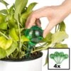 Merkloos Decopatent® 4 Stuks - Waterdruppelaar Voor Planten - Watergever - Glas - Waterbollen - Watergeefsysteem - Plantenbollen - Groen 1 Merkloos Decopatent® 4 Stuks - Waterdruppelaar Voor Planten - Watergever - Glas - Waterbollen - Watergeefsysteem - Plantenbollen - Groen -Tuinverzorgings Winkel 1200x1200 648