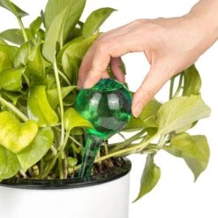 Merkloos Decopatent® 4 Stuks - Waterdruppelaar Voor Planten - Watergever - Glas - Waterbollen - Watergeefsysteem - Plantenbollen - Groen 21 Merkloos Decopatent® 4 Stuks - Waterdruppelaar Voor Planten - Watergever - Glas - Waterbollen - Watergeefsysteem - Plantenbollen - Groen -Tuinverzorgings Winkel 1200x1200 650