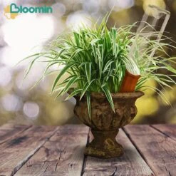 Bloomin Waterdruppelaar Van Terracotta - Waterdruppelaar Voor Planten - Druppelsysteem - Irrigatiesysteem - Watergeefsysteem - Bewateringssysteem - 8 Stuks -Tuinverzorgings Winkel 1200x1200 652