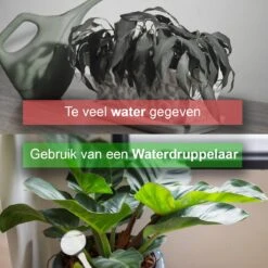 Waterdruppelaar Set Van 6 Stuks - Waterdruppelaar Voor Planten - Watergeefsysteem - Waterbol Irrigatiesysteem - Automatisch Druppelsysteem Voor Kamerplanten & Tuin - Watergever - Doorzichtig - 15cm -Tuinverzorgings Winkel 1200x1200 656