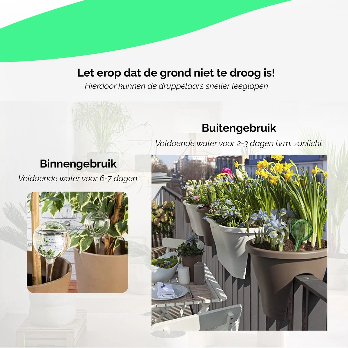 Waterdruppelaar Set Van 8 Stuks Voor Planten Transparant - Waterdruppelaar Voor Kamerplanten – Waterbol - Waterdruppelaar Voor Planten - Watergeefsysteem 7 Waterdruppelaar Set Van 8 Stuks Voor Planten Transparant - Waterdruppelaar Voor Kamerplanten – Waterbol - Waterdruppelaar Voor Planten - Watergeefsysteem - Afbeelding 5