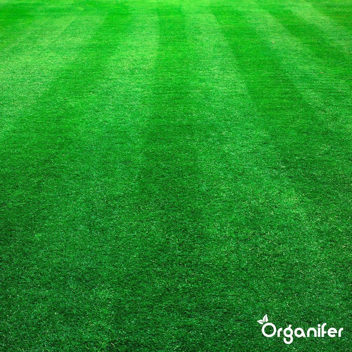 Kalk Korrel Meststof Verrijkt Met Magnesium (5Kg - Voor 100m2) Voor Dieper Bladgroen (+PH) Speciaal Voor Gazon, Perken, Moestuin En Openbaar Groen - Organifer 15 Kalk Korrel Meststof Verrijkt Met Magnesium (5Kg - Voor 100m2) Voor Dieper Bladgroen (+PH) Speciaal Voor Gazon, Perken, Moestuin En Openbaar Groen - Organifer - Afbeelding 13