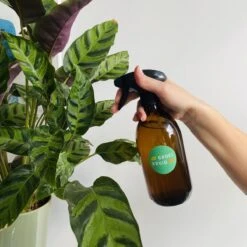 Groeikruid® Plantenspuit | 500 Ml Amber Glas | Met Zwarte Spraykop | Plantensproeier Binnen | Waterverstuiver | Verstuiver | Waterspuit 10 Groeikruid® Plantenspuit | 500 Ml Amber Glas | Met Zwarte Spraykop | Plantensproeier Binnen | Waterverstuiver | Verstuiver | Waterspuit -Tuinverzorgings Winkel 1200x1200 677