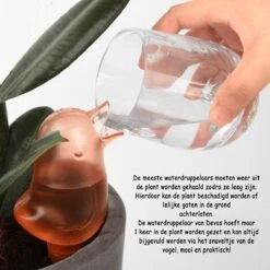 Waterdruppelaar Voor Planten 2 Stuks - Waterbol Kamerplanten - Automatisch Watergeefsysteem - Vogel - Roze 10 Waterdruppelaar Voor Planten 2 Stuks - Waterbol Kamerplanten - Automatisch Watergeefsysteem - Vogel - Roze -Tuinverzorgings Winkel 1200x1200 728