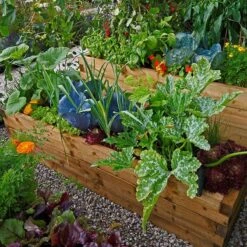 Mycorrhiza Mix Moestuin 200Gr - FungiLife Endomycorrhiza 5 Mycorrhiza Mix Moestuin 200Gr - FungiLife Endomycorrhiza -Tuinverzorgings Winkel 1200x1200 75