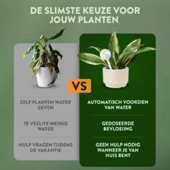 STFF & Co® Waterdruppelaar Voor Planten – Irrigatiesysteem Automatisch Watergeefsysteem – Waterbollen Voor Planten – Bewateringssysteem – 8 Stuks - 8cm 9 STFF & Co® Waterdruppelaar Voor Planten – Irrigatiesysteem Automatisch Watergeefsysteem – Waterbollen Voor Planten – Bewateringssysteem – 8 Stuks - 8cm -Tuinverzorgings Winkel 1200x1200 758
