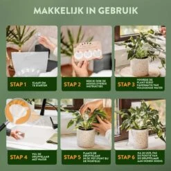 STFF & Co® Waterdruppelaar Voor Planten – Irrigatiesysteem Automatisch Watergeefsysteem – Waterbollen Voor Planten – Bewateringssysteem – 8 Stuks - 8cm 10 STFF & Co® Waterdruppelaar Voor Planten – Irrigatiesysteem Automatisch Watergeefsysteem – Waterbollen Voor Planten – Bewateringssysteem – 8 Stuks - 8cm -Tuinverzorgings Winkel 1200x1200 759