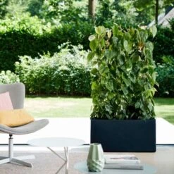 Elho Vivo Matt Finish Lang Wielen 90 - Grote Staande Plantenbak Voor Binnen & Buiten - Gemaakt Van Gereycled Plastic - L 39 X W 88 X H 41 Cm - Zwart 18 Elho Vivo Matt Finish Lang Wielen 90 - Grote Staande Plantenbak Voor Binnen & Buiten - Gemaakt Van Gereycled Plastic - L 39 X W 88 X H 41 Cm - Zwart -Tuinverzorgings Winkel 1200x1200 782