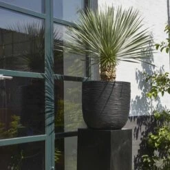 Capi Europe - Bloempot Bol Rib NL - 35x34 - Zwart - Voor Binnen En Buiten - KBLR932 -Tuinverzorgings Winkel 1200x1200 804