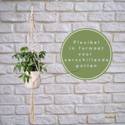 Plantenhanger - Plantenhanger Macrame - Set Van 2 - Wit - Knopen - Luxe Gevlochten Touw - Met Ophang Haken - Fienosa -Tuinverzorgings Winkel 1200x1200 819