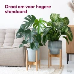 Gadgy Bamboe Plantenstandaard 2 St - Plantentafel - Plantentafeltje Voor Binnen - Plantenrek - Uitschuifbaar - Hout - Ø 20 Tot 30 Cm -Tuinverzorgings Winkel 1200x1200 821