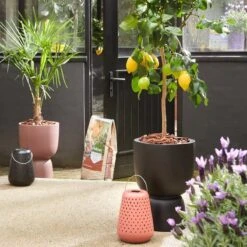 Elho Pure Coupe 35 - Bloempot Voor Binnen & Buiten - Ø 34.9 X H 49.0 Cm - Zwart/Zwart -Tuinverzorgings Winkel 1200x1200 837