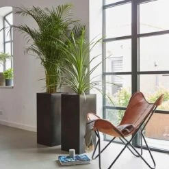 Capi Europe - Bloempot Rechthoek Smooth NL - 36x36x79 - Zwart - Voor Binnen En Buiten - KBL952 -Tuinverzorgings Winkel 1200x1200 839