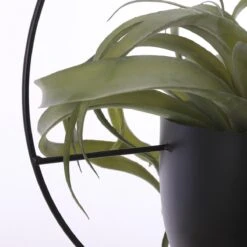 Mica Decorations Dexter Bloempot Hangend - L34 X B14 X H65 Cm - Zwart -Tuinverzorgings Winkel 1200x1200 879