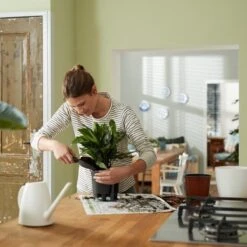 Elho Self-watering Insert 17 - Accessoires Voor Binnenaccessoires - Ø 17.0 X H 15.8 Cm - Zwart/Living Black -Tuinverzorgings Winkel 1200x1200 891