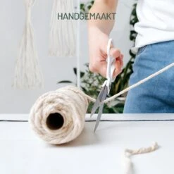 Gadgy Plantenhanger Macramé 3 Stuks - Luxe Gevlochten Touw Katoen - Plantenpot Ophangen - Hangpot 15 Gadgy Plantenhanger Macramé 3 Stuks - Luxe Gevlochten Touw Katoen - Plantenpot Ophangen - Hangpot -Tuinverzorgings Winkel 1200x1200 894