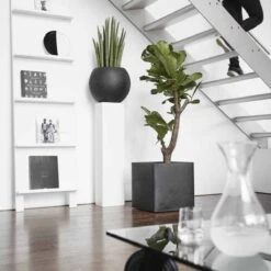 Capi Europe - Bloempot Vierkant Smooth NL - 40x40x40 - Zwart - Voor Binnen En Buiten - KBL903 20 Capi Europe - Bloempot Vierkant Smooth NL - 40x40x40 - Zwart - Voor Binnen En Buiten - KBL903 -Tuinverzorgings Winkel 1200x1200 904