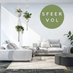 Plantenhanger Macrame Set Van 2 - Plantenhanger Met Ruimte Voor 3 Potten - Luxe Gevlochten Touw 100% Katoen - Duurzaam - Plantenbakken - Bloempotten - Macramé Stijl Hanger Voor Bloempotten - Hangpot - Fienosa 11 Plantenhanger Macrame Set Van 2 - Plantenhanger Met Ruimte Voor 3 Potten - Luxe Gevlochten Touw 100% Katoen - Duurzaam - Plantenbakken - Bloempotten - Macramé Stijl Hanger Voor Bloempotten - Hangpot - Fienosa -Tuinverzorgings Winkel 1200x1200 922