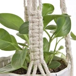 4 Stuks Plantenhangers - Boho Handgeweven Katoen Hangpot Voor Binnen/Buiten - Bloempot Met Kralen - Macramé Touw/Koord Hangplant Houder - Bohemian Wandhanger Decoratie - Verticale Tuin Plant Hanger Bloempothouder Planthanger Wit 17 4 Stuks Plantenhangers - Boho Handgeweven Katoen Hangpot Voor Binnen/Buiten - Bloempot Met Kralen - Macramé Touw/Koord Hangplant Houder - Bohemian Wandhanger Decoratie - Verticale Tuin Plant Hanger Bloempothouder Planthanger Wit -Tuinverzorgings Winkel 1200x1200 951