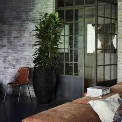 Capi Europe - Vaas Elegant Deluxe Rib NL - 45x72 - Zwart - Voor Binnen En Buiten - KBLR1138 -Tuinverzorgings Winkel 1200x1200 960