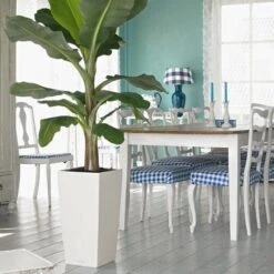 Prosperplast Kunststof Urbi Bloempot/plantenpot Met Binnenpot Wit 32 X 32 X 61 Cm - 21/49 Liter - Hoge Vierkante Bloempotten -Tuinverzorgings Winkel 1200x1200 973