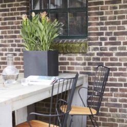 Capi Europe - Bloempot Vierkant Smooth NL - 30x30x30 - Zwart - Voor Binnen En Buiten - KBL902 21 Capi Europe - Bloempot Vierkant Smooth NL - 30x30x30 - Zwart - Voor Binnen En Buiten - KBL902 -Tuinverzorgings Winkel 1200x1200 983