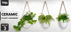 Gadgy Plantenhanger Keramiek - Set Van 3 - Hangpot Van Wit Steen - Hangende Bloempot Plantenpot - Met 3 Verschillende Koorden - 12x11x9.5CM -Tuinverzorgings Winkel 1200x552 1