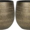 Set Van 2x Stuks Plantenpotten/bloempotten In Een Strakke Modern Design Look Metal Goud Dia 22 Cm En Hoogte 20 Cm -Tuinverzorgings Winkel 1200x582