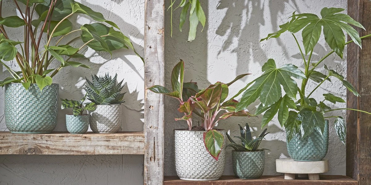 Mica Decorations Daan Bloempot - H17,5 X Ø19 Cm - Groen 8 Mica Decorations Daan Bloempot - H17,5 X Ø19 Cm - Groen - Afbeelding 6