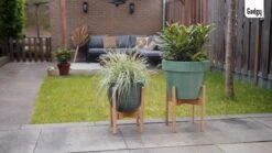 Gadgy Bamboe Plantenstandaard 2 St - Plantentafel - Plantentafeltje Voor Binnen - Plantenrek - Uitschuifbaar - Hout - Ø 20 Tot 30 Cm -Tuinverzorgings Winkel 1200x675 15