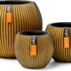 Capi Europe - Set Van 3 - Bloempot Binnen - Groove - - Goud - Bloempot Voor Binnen - BOX-BGVGB-3 -Tuinverzorgings Winkel 1200x740