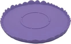 Azhora Pokémon Gengar Bloempot - Inclusief Opvangschaal - Lichtpaars -Tuinverzorgings Winkel 1200x757