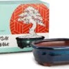 Happy Seed Keramieken Bonsai Pot (schaal) - Marine Blauw - Geglazuurd -Tuinverzorgings Winkel 1200x779 1