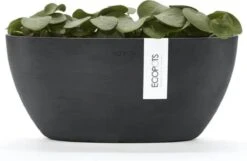 Ecopots | Sofia | Dark Grey | Binnenbloempot | 30 Cm | Ovaal -Tuinverzorgings Winkel 1200x781
